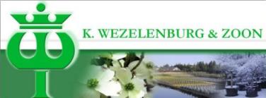 Wezelenburg en zonen